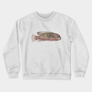 Sarabia Cichlid Crewneck Sweatshirt